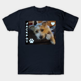 MY JACK RUSSELL TERRIER T-Shirt